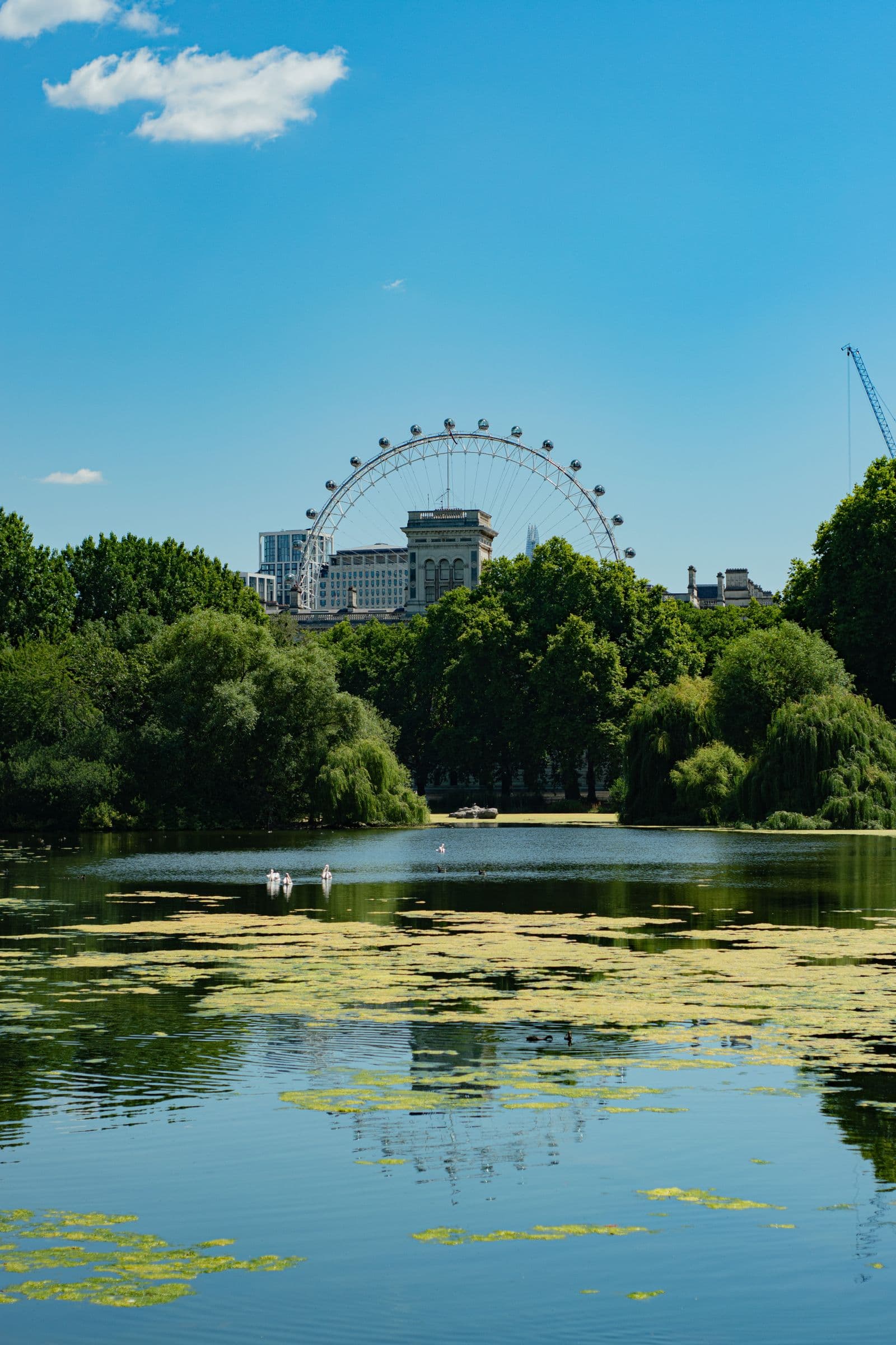 Park pond with trees and a big wheel in the distance