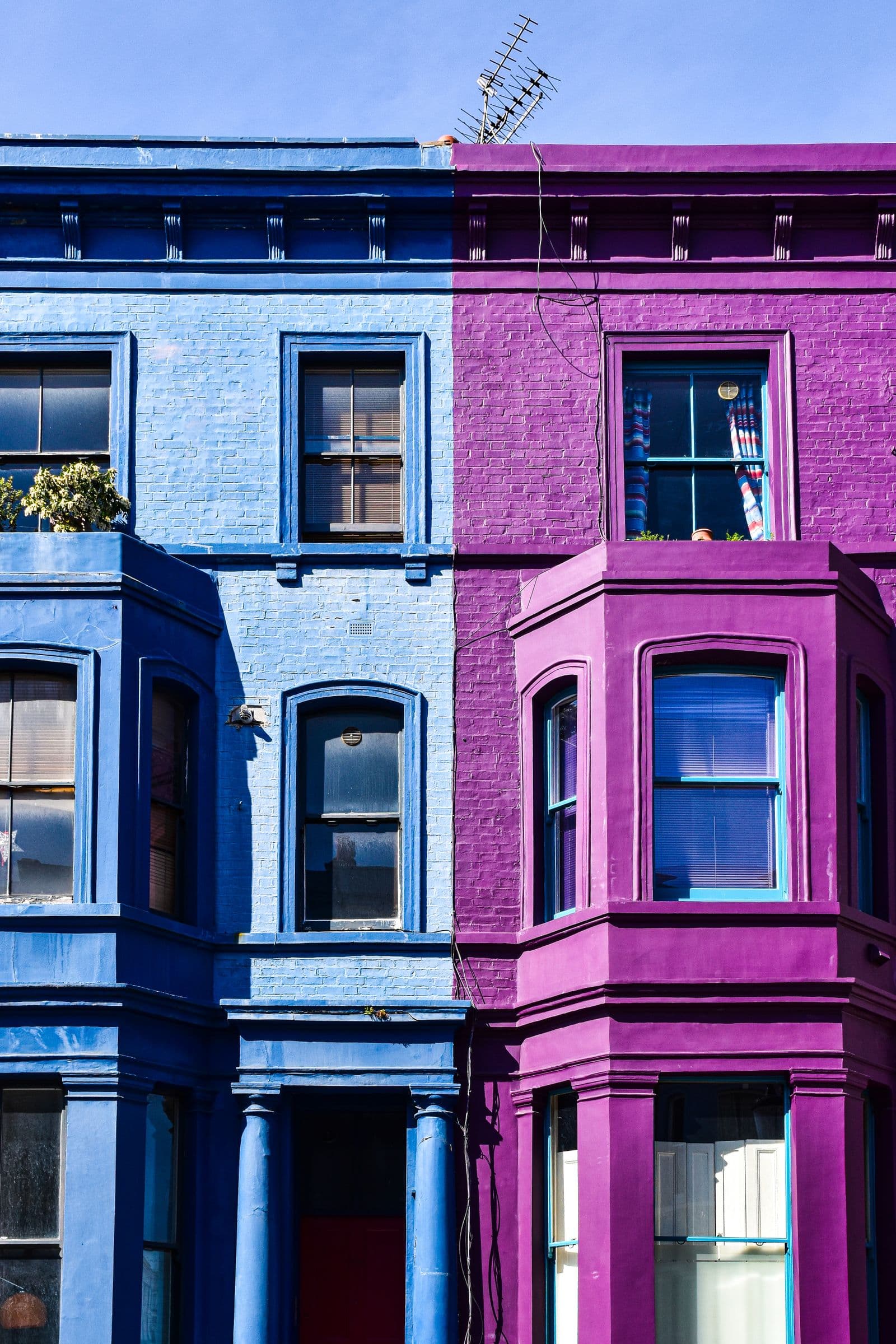Blue and purple painted townhouses