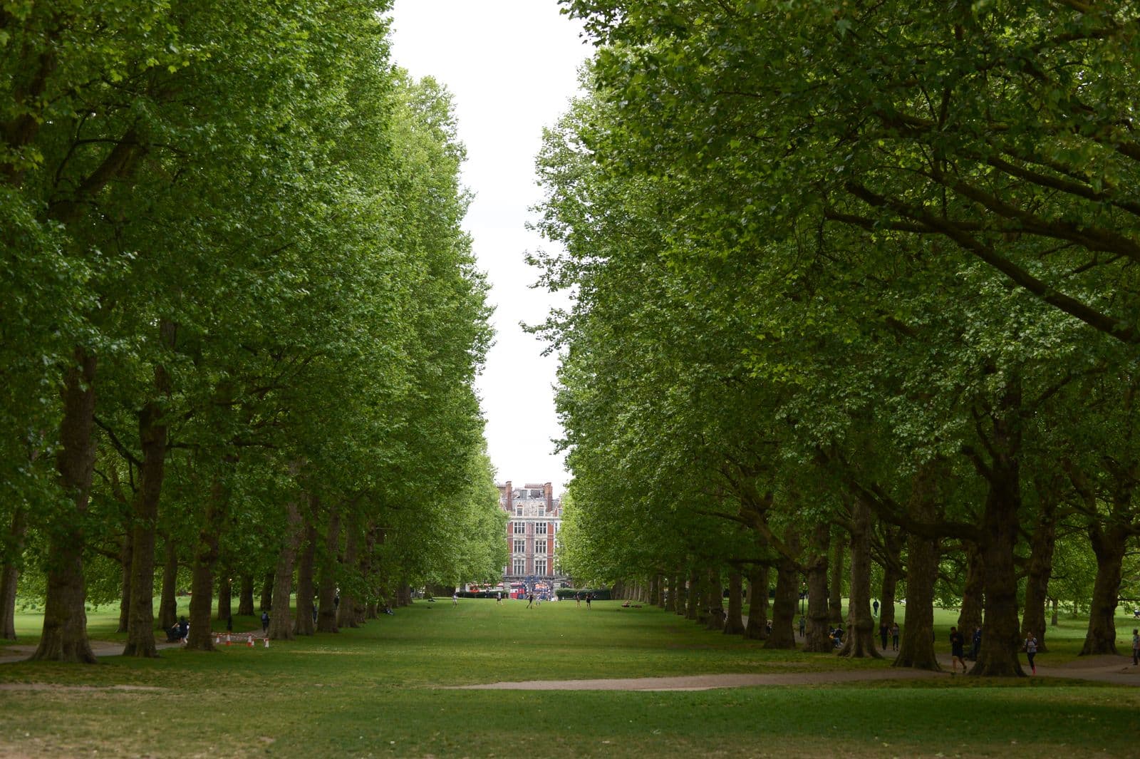 Tree-lined park path leading to a historic building
