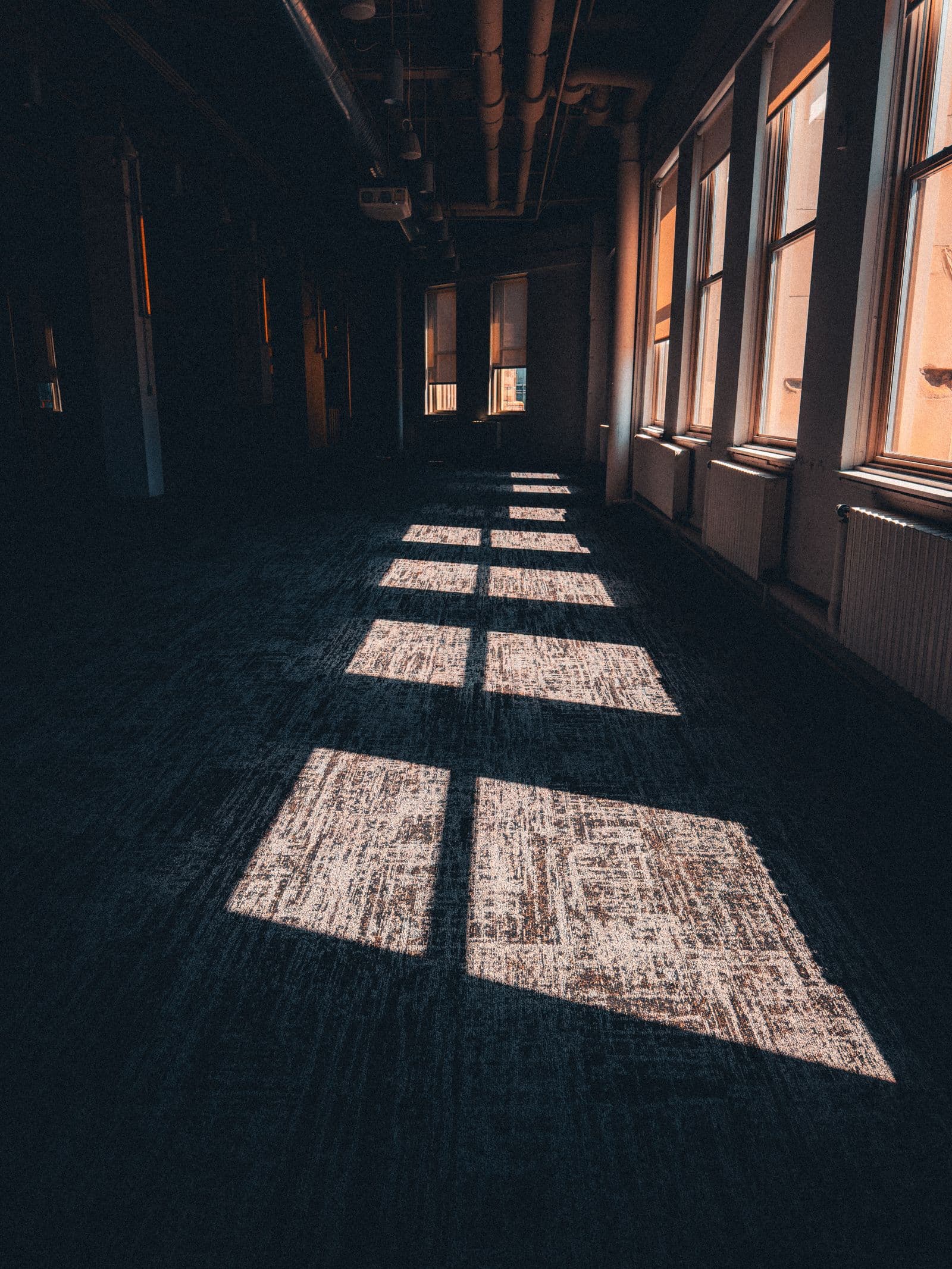 Sunlight casting window shadows across a quiet floor