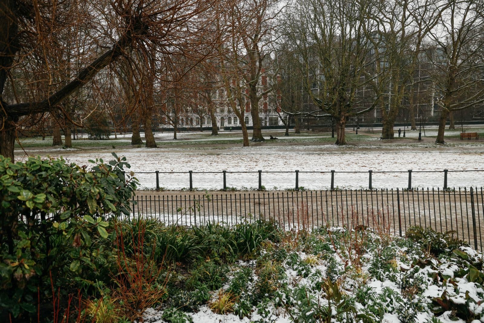 Winter park landscape with trees and a railing